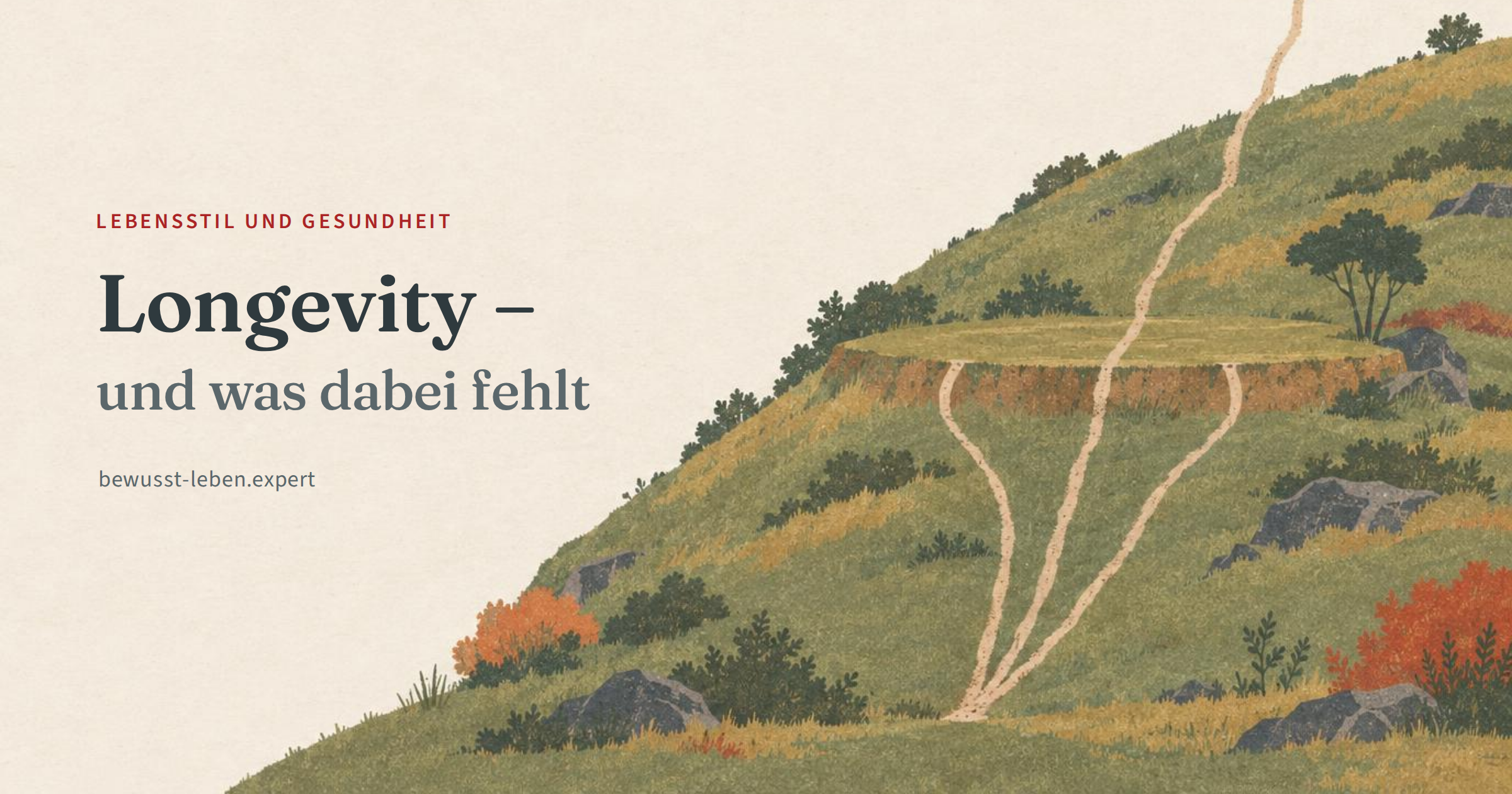 Illustration: ein grasbewachsener Hang mit Büschen und Felsen und einer Terrasse auf halber Höhe. Drei schmale Wege beginnen gemeinsam am Fuß, zwei enden an der Terrasse, einer führt weiter nach oben aus dem Bild. Links der Titel ‚Longevity – und was dabei fehlt‘.