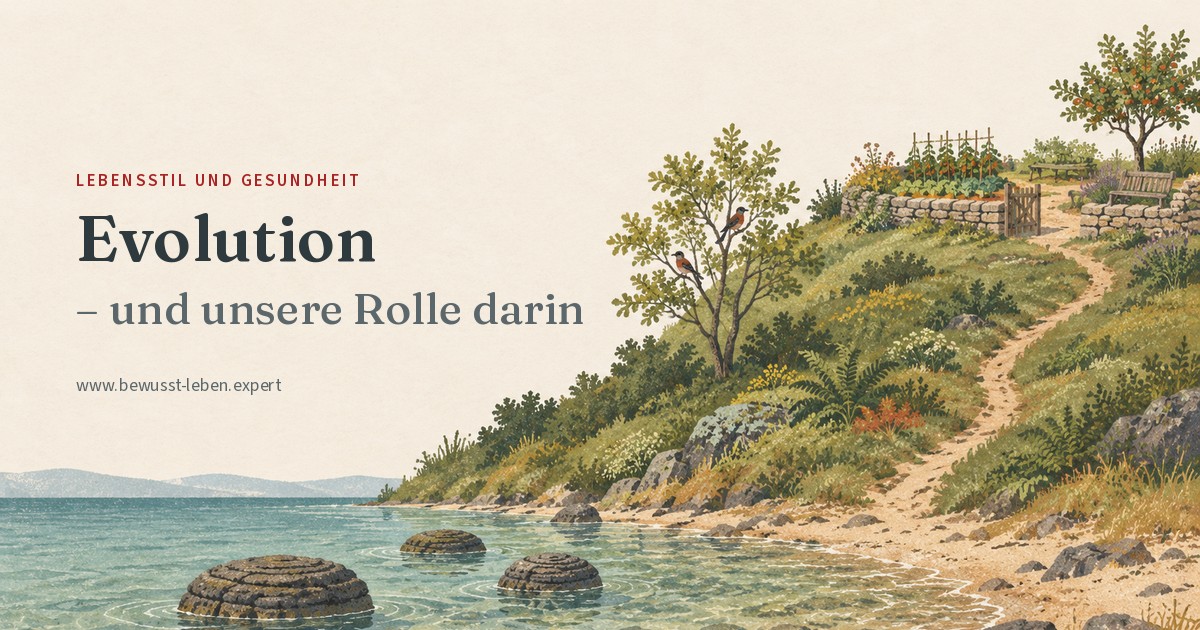 Illustration: eine ruhige Meeresbucht, in deren flachem Wasser drei runde, geschichtete Steinhügel liegen – Stromatolithen, die ältesten Spuren des Lebens. Vom Ufer steigt ein grüner Hang mit Farnen und einem jungen Baum auf, in dem zwei Vögel sitzen. Ein schmaler Pfad führt hinauf zu einem kleinen Garten mit Trockenmauer, Gemüsebeeten, Bank und Apfelbaum; das hölzerne Gartentor steht offen. Links der Titel ‚Evolution – und unsere Rolle darin’.